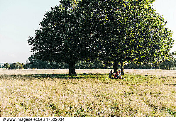 Family spending leisure time below tree in park