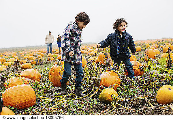 Family walking at pumpkin patch during foggy weather