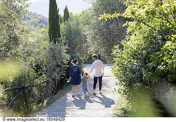 Family walking on footpath amidst green plants at olive orchard during sunny day
