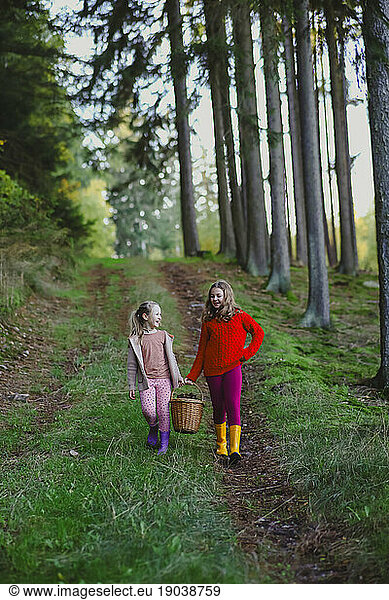 family weekend in the forest  hiking in the forest for mushrooms