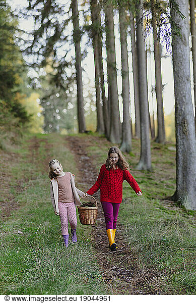 family weekend in the forest  hiking in the forest for mushrooms