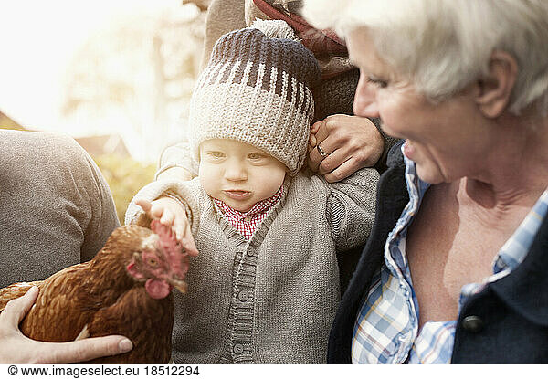 Family with chicken bird sitting in poultry farm  Bavaria  Germany