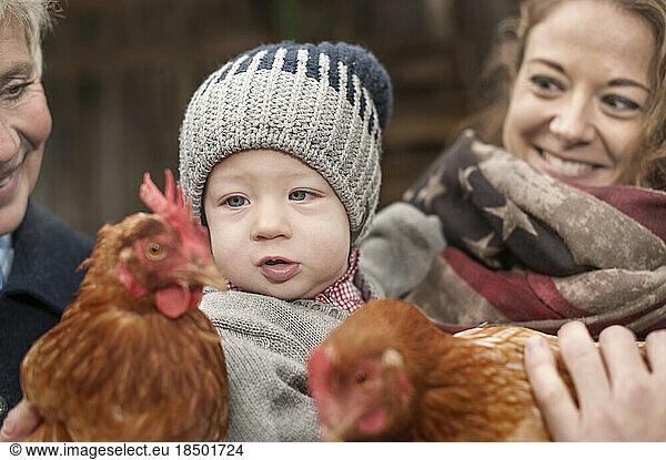 Family with chicken birds in poultry farm  Bavaria  Germany