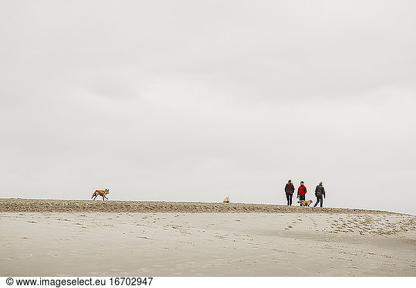 Family with dogs walking along sandy beach on overcast winter day
