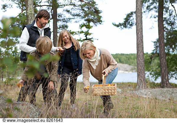 Family with two kids picking mushrooms