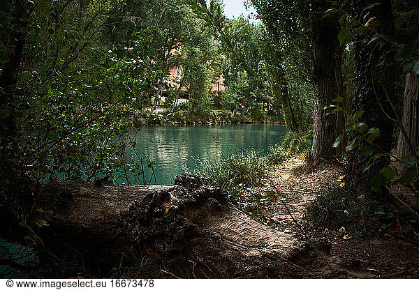 Fantastic lake surrounded by a forest in Cuenca (Spain)