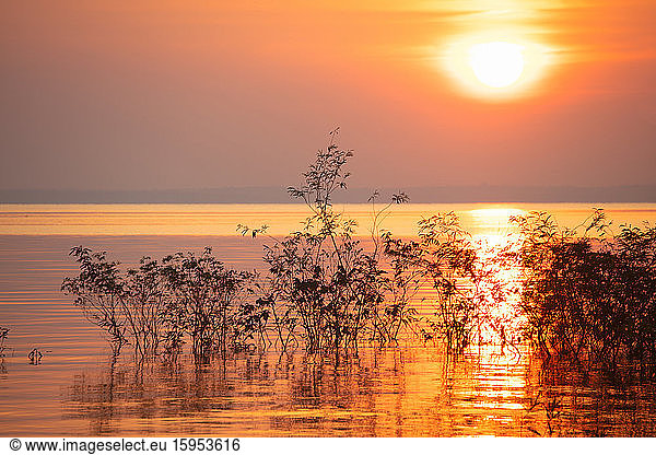 Fantastischer Sonnenuntergang mit der über dem Horizont untergehenden Sonne im Amazonasbecken  Manaus  Brasilien