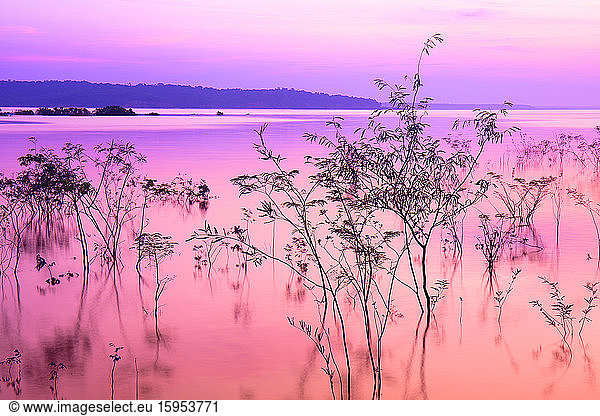 Fantastischer Sonnenuntergang mit der über dem Horizont untergehenden Sonne im Amazonasbecken  Manaus  Brasilien