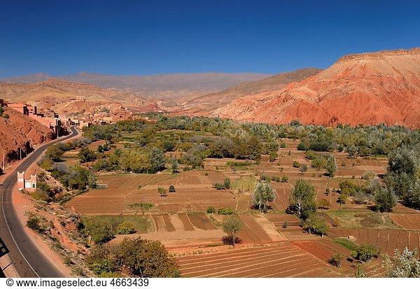 Farm fields along the Dades Gorge road in the High Atlas mountains Morocco