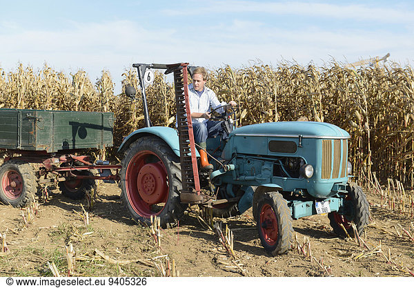 Farmer driving tractor over cornfield