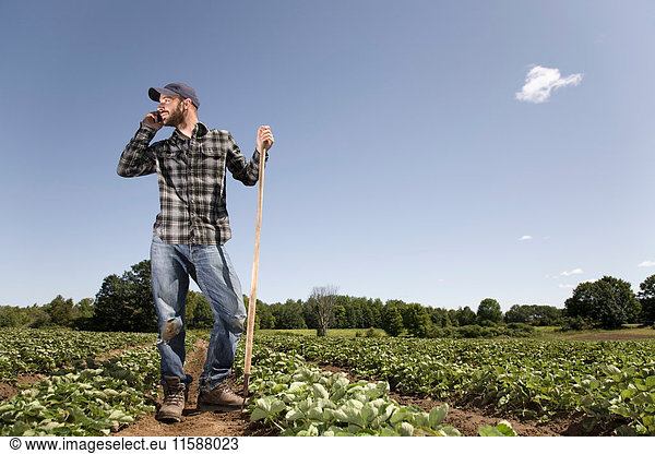 Farmer in field talking on cell phone