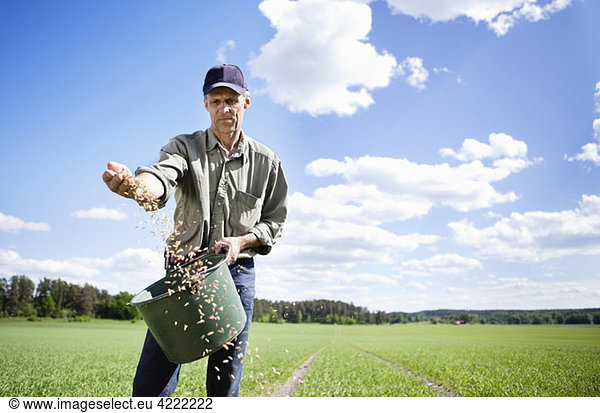 Farmer putting out seeds