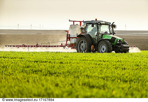 Farmer spraying green crop with tractor in farm