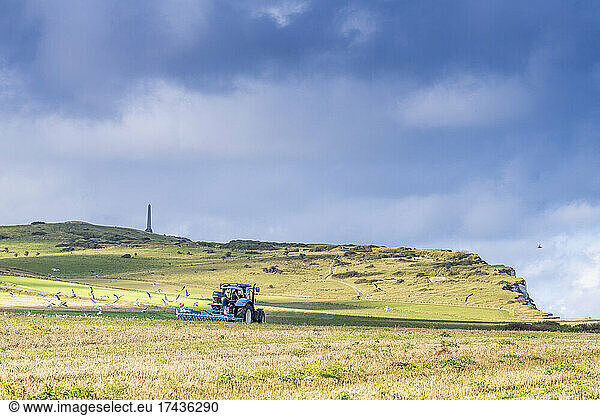 Farmer stubble ploughing his field  C?te d'Opale  Pas de Calais  France