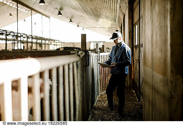 Farmer using digital tablet standing by railing at dairy farm
