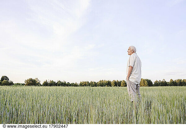 Farmer with hands in pockets standing on cornfield