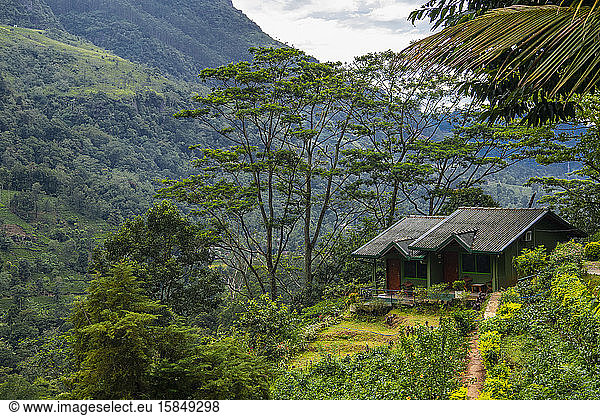 farmhouse in the hills of Sri Lanka