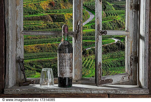 Farmhouse  old bottle of red wine  glass  corkscrew  view from open window into the vineyards  Kaiserstuhl  Baden-Württemberg  Composing  Germany  Europe