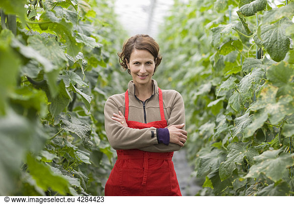 Farming vegetables and fruits