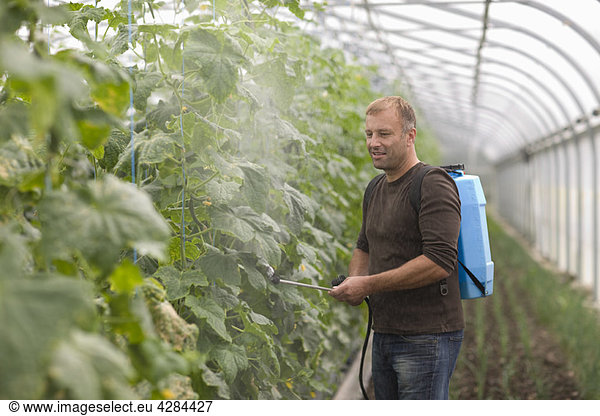 Farming vegetables and fruits