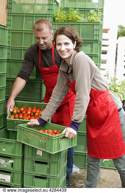 Farming vegetables and fruits