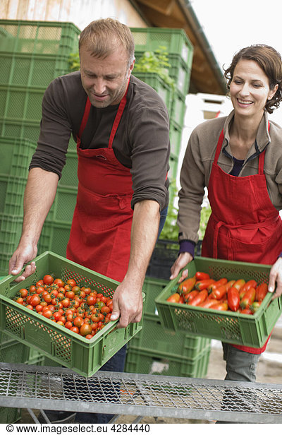 Farming vegetables and fruits