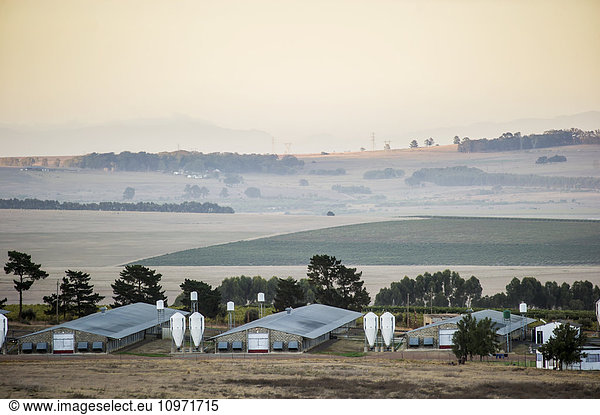 Farmland at dusk; Stellenbosch  Western Cape  South Africa