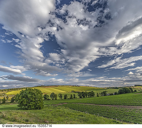 Farmland on rolling hills on the Black Isle; Rosemarkie  Ross and Cromarty  Scotland