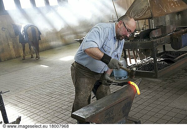 Farrier throwing horseshoes  Haras du Pin  Normandy  France  Europe
