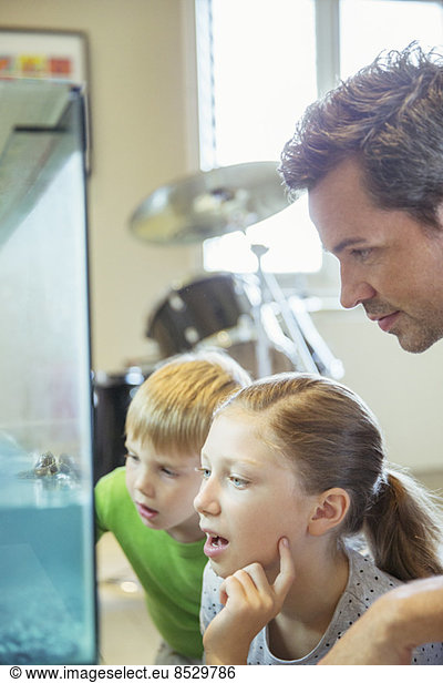 Father and children examining fish tank