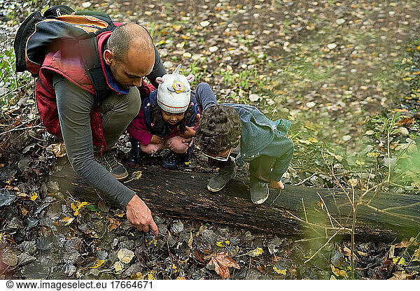 Father and curious kids on hike in woods