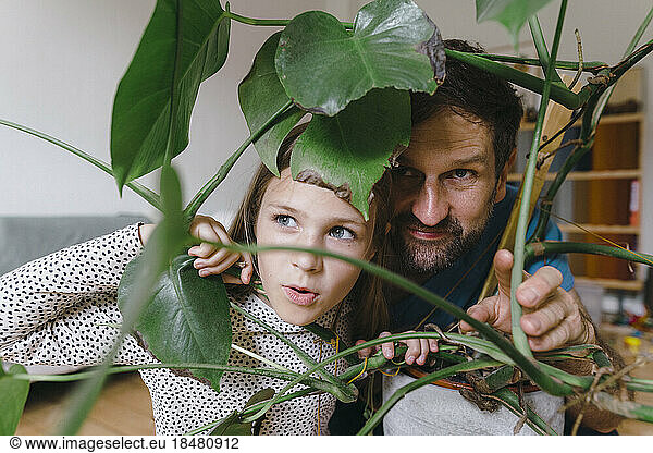 Father and daughter peeking behind plants at home