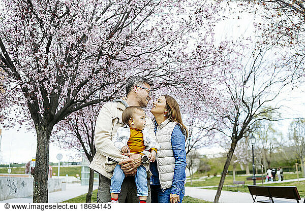 Father and mother with son standing under cherry blossom tree