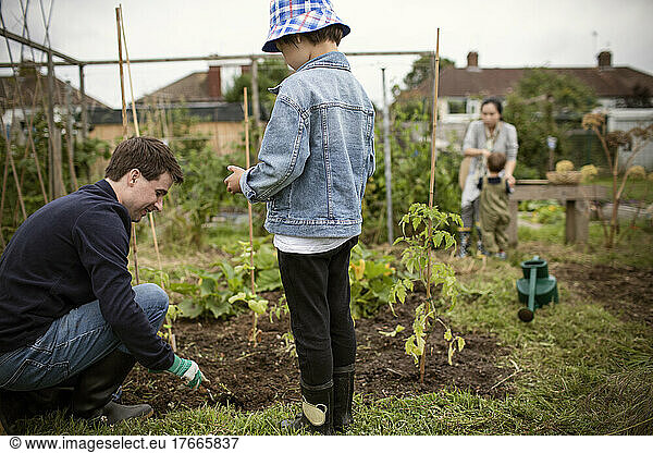 Father and son digging in garden
