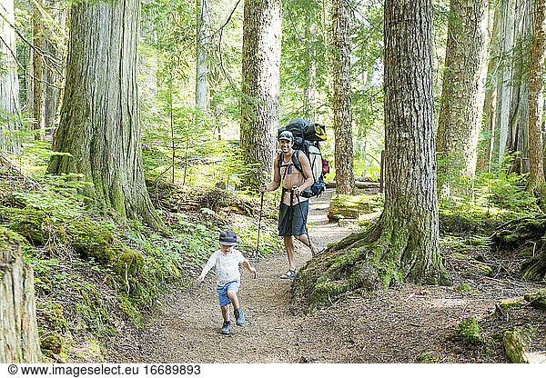 Father and son hiking on trail through lush old growth forest