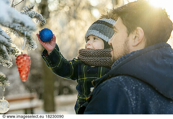 Father carrying son holding Christmas bauble on branch of snow covered tree