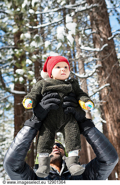 Father holding up baby son in winter forest  South Lake Tahoe  California  USA