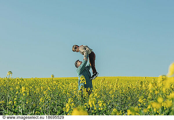 Father lifting son standing amidst flowers in rapeseed field
