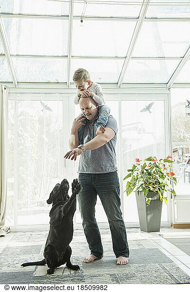 Father playing with dog while carryinng son on his shoulder