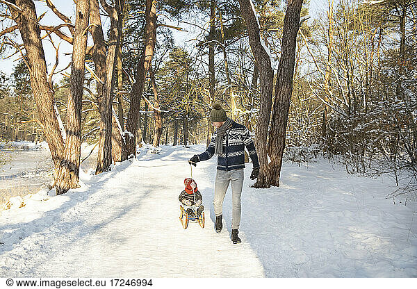 Father pulling sled while looking at son during winter