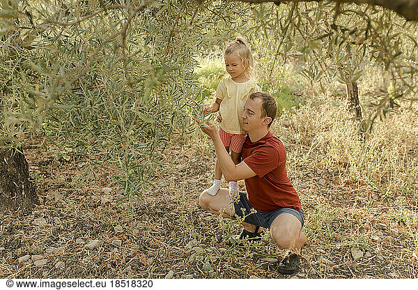 Father showing olives to daughter in garden