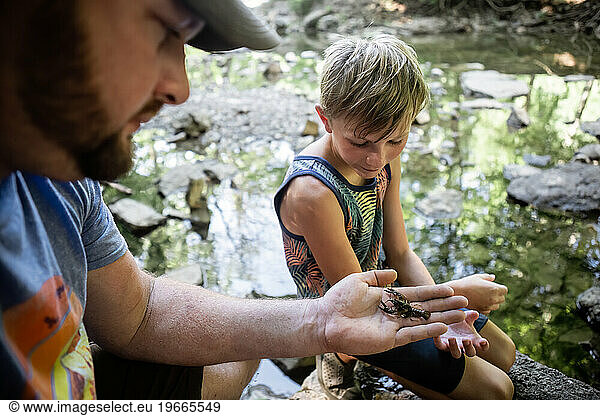 Father showing son crawdad on edge of creek during summer