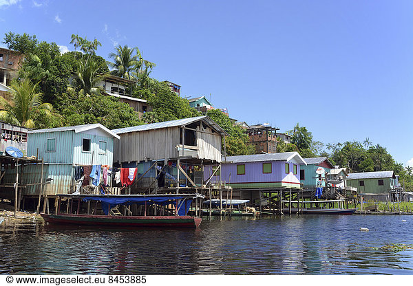 Favela am Flussufer  Slums in Amazonien  Tefe  Provinz Amazonas  Brasilien