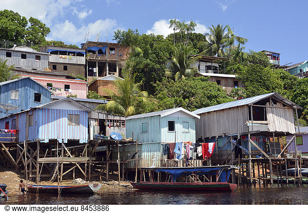 Favela am Flussufer  Slums in Amazonien  Tefe  Provinz Amazonas  Brasilien