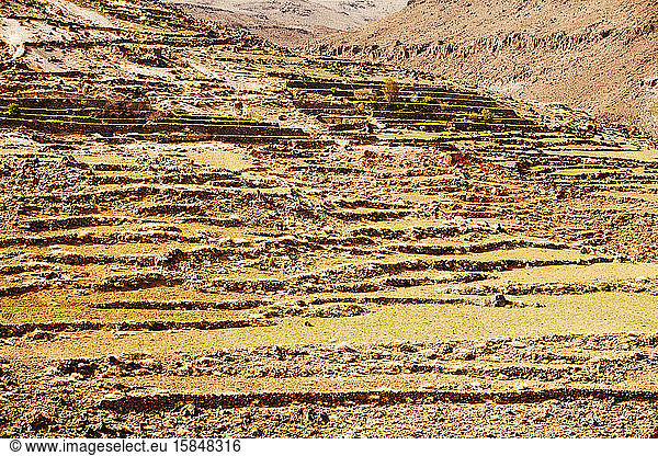 Feldterrassen über einem Berberdorf im Anti-Atlas-Gebirge in Marokko  Nordafrika. In den letzten Jahren sind die Niederschlagsmengen infolge des Klimawandels um rund 75% zurückgegangen. Dies hat