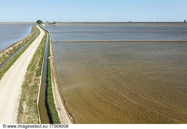 Feldweg  Kanal und kleines Bauernhaus inmitten überschwemmter Reisfelder im Mai  Luftaufnahme  Drohnenaufnahme  Naturschutzgebiet Ebro-Delta  Provinz Tarragona  Katalonien  Spanien  Europa