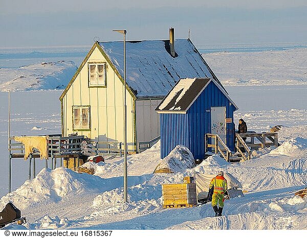 Fell eines Eisbären. Die Jagd ist streng geregelt und nur für den persönlichen Gebrauch der Einheimischen bestimmt. Das traditionelle und abgelegene grönländische Inuit-Dorf Kullorsuaq  Melville Bay  Teil der Baffin Bay. Amerika  Nordamerika  Grönland  dänisches Gebiet.