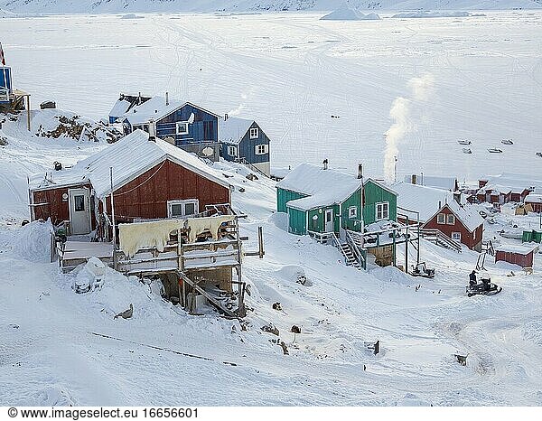 Fell eines erlegten Eisbären. Das traditionelle und abgelegene grönländische Inuit-Dorf Kullorsuaq liegt an der Melville-Bucht  einem Teil der Baffin-Bucht  im hohen Norden Westgrönlands. Amerika  Nordamerika  Grönland  Dänemark.