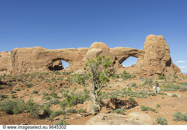 Felsbögen North Window and South Window  Arches-Nationalpark  Moab  Utah  USA  Nordamerika