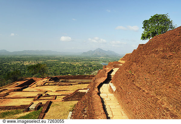 Felsbrocken Löwe Panthera leo hoch oben Ansicht UNESCO-Welterbe Asien Sigiriya Sri Lanka